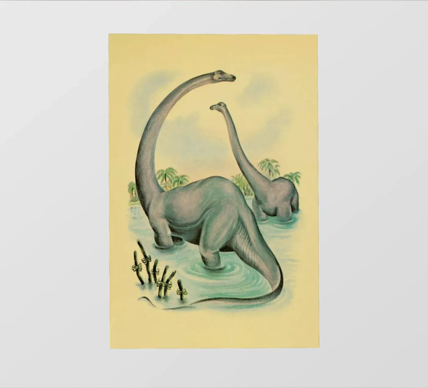 Another World pellicola backlit da Flora & Fauna