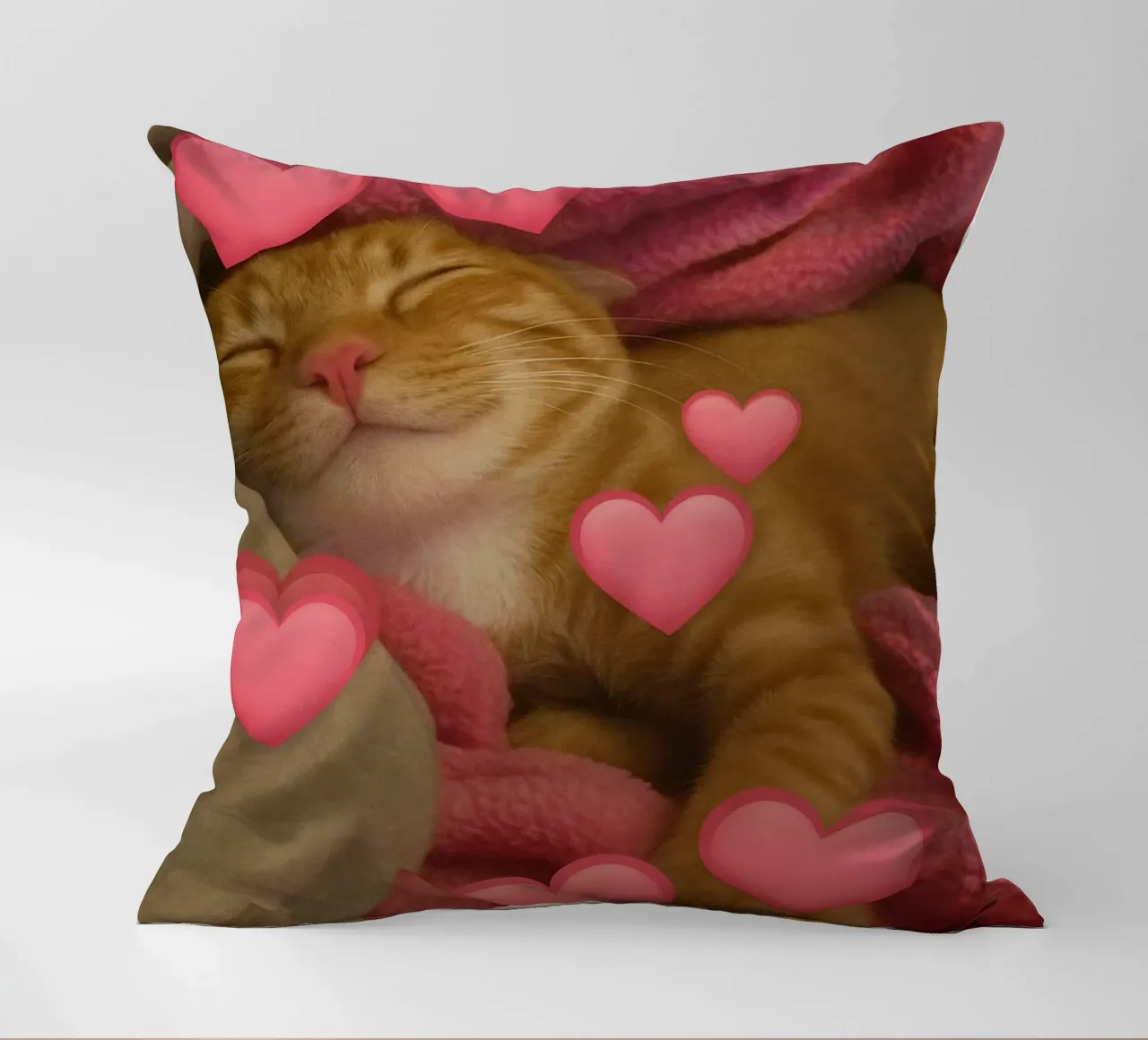 he beast inside me Funny Cat decorative cushion by the gondals