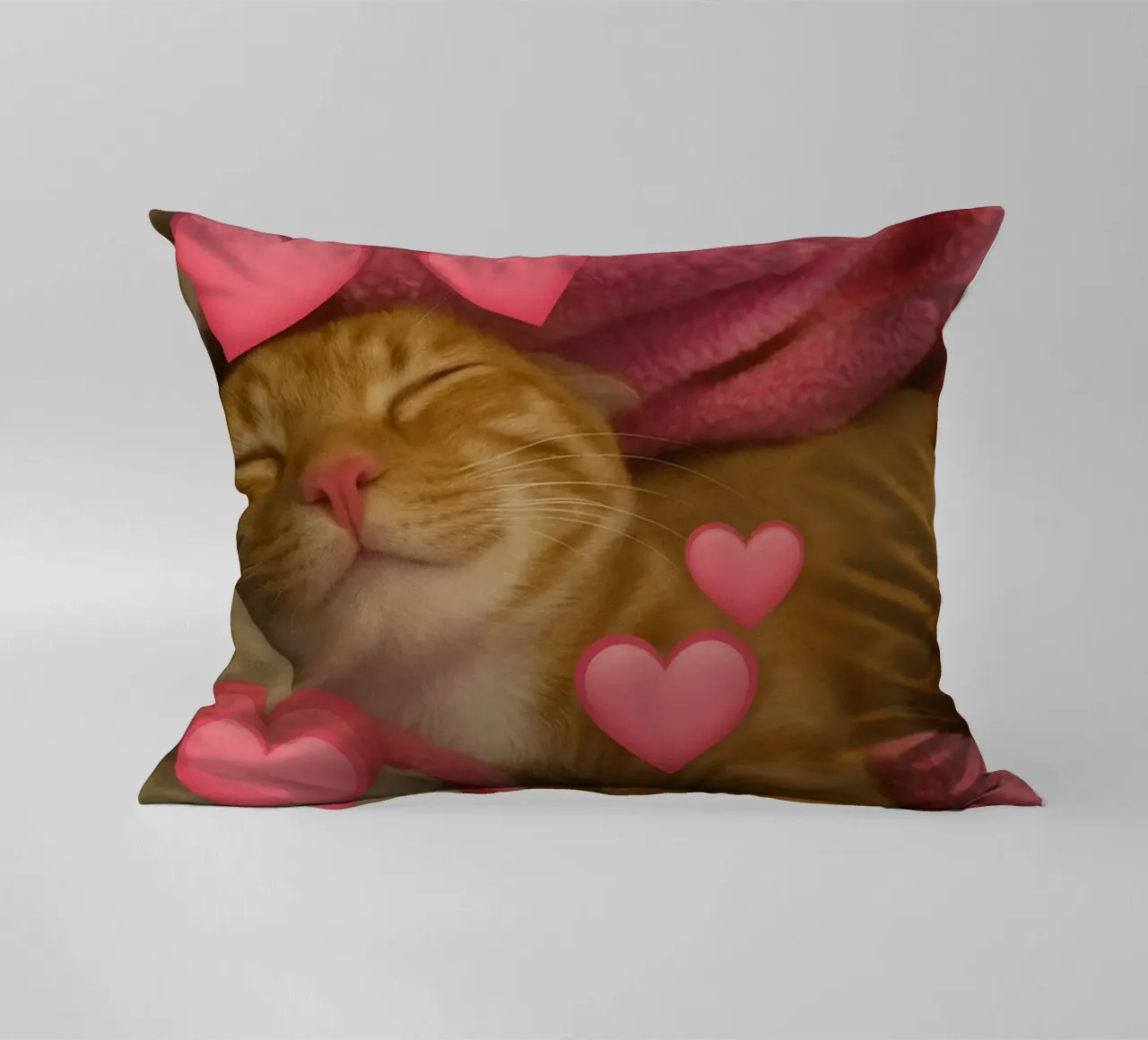 he beast inside me Funny Cat decorative cushion by the gondals