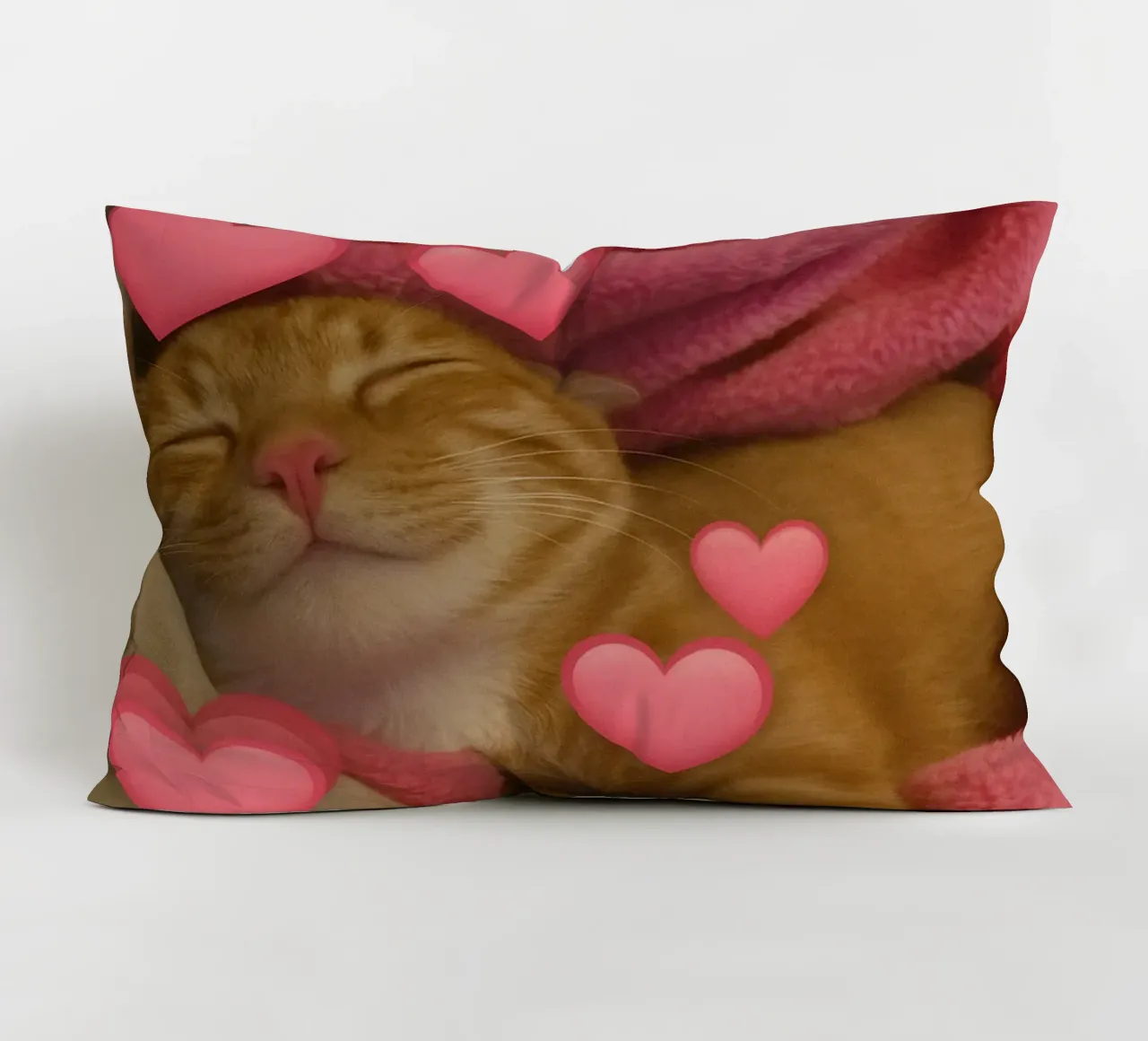 he beast inside me Funny Cat decorative cushion by the gondals