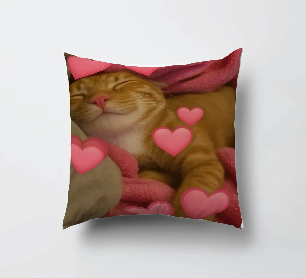 he beast inside me Funny Cat decorative cushion by the gondals