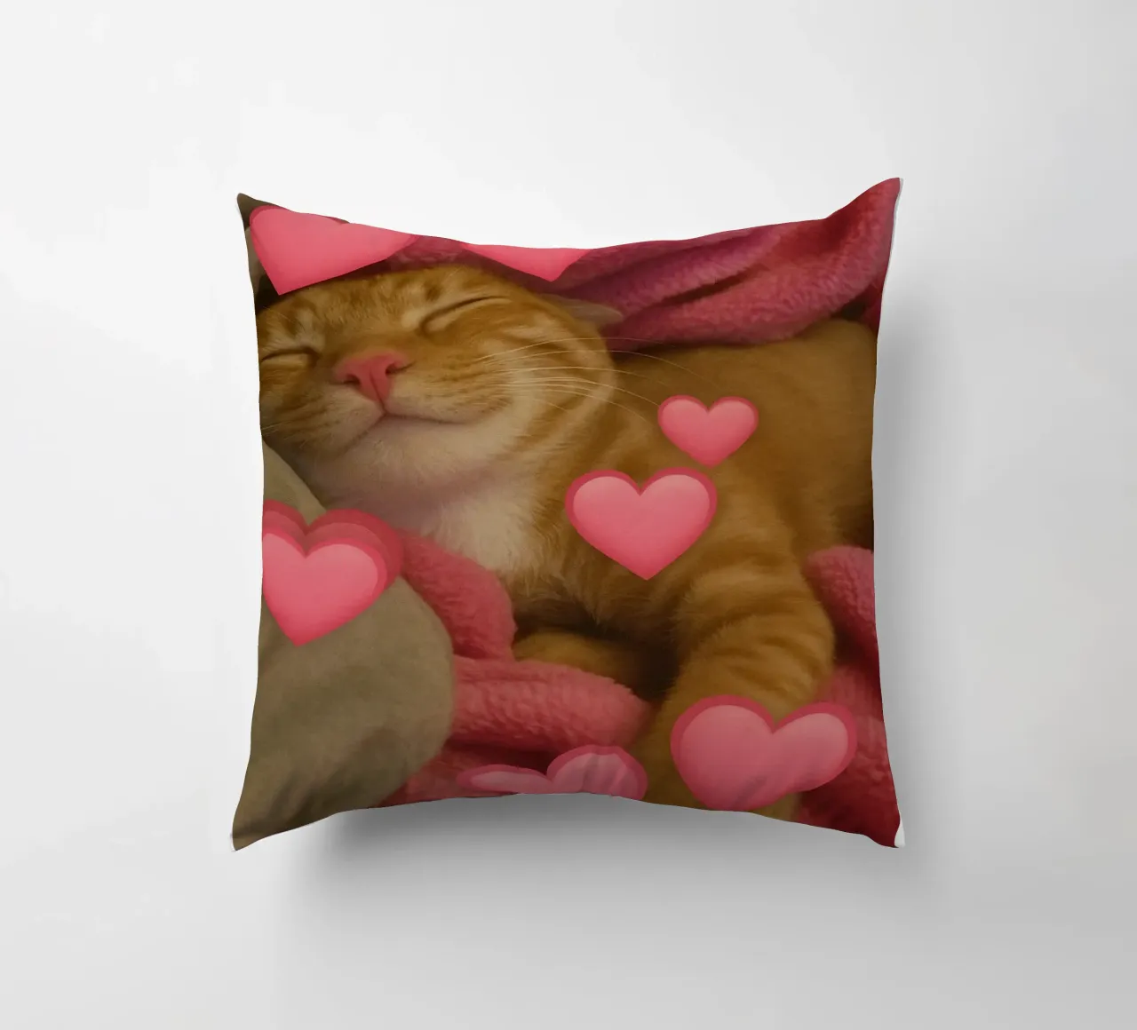 he beast inside me Funny Cat decorative cushion by the gondals