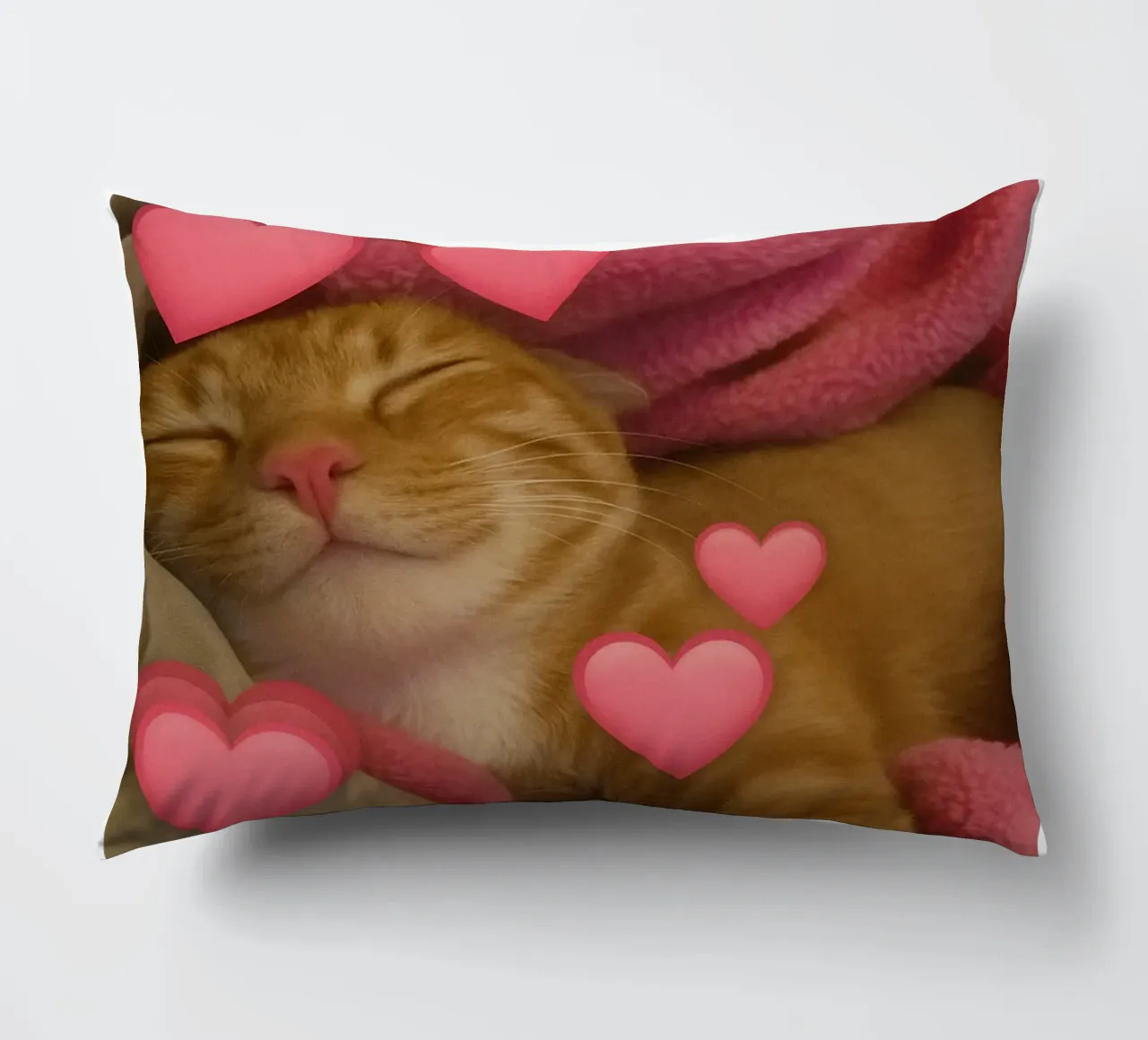 he beast inside me Funny Cat decorative cushion by the gondals