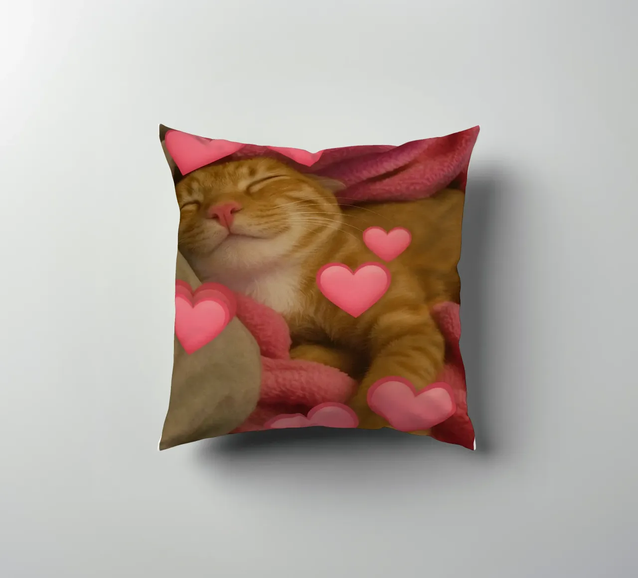 he beast inside me Funny Cat decorative cushion by the gondals