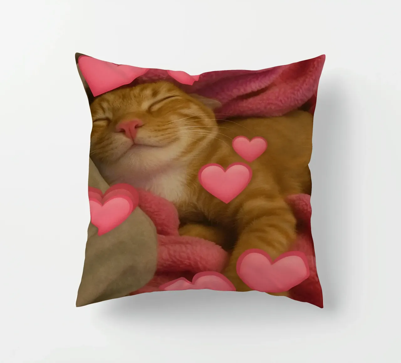 he beast inside me Funny Cat decorative cushion by the gondals
