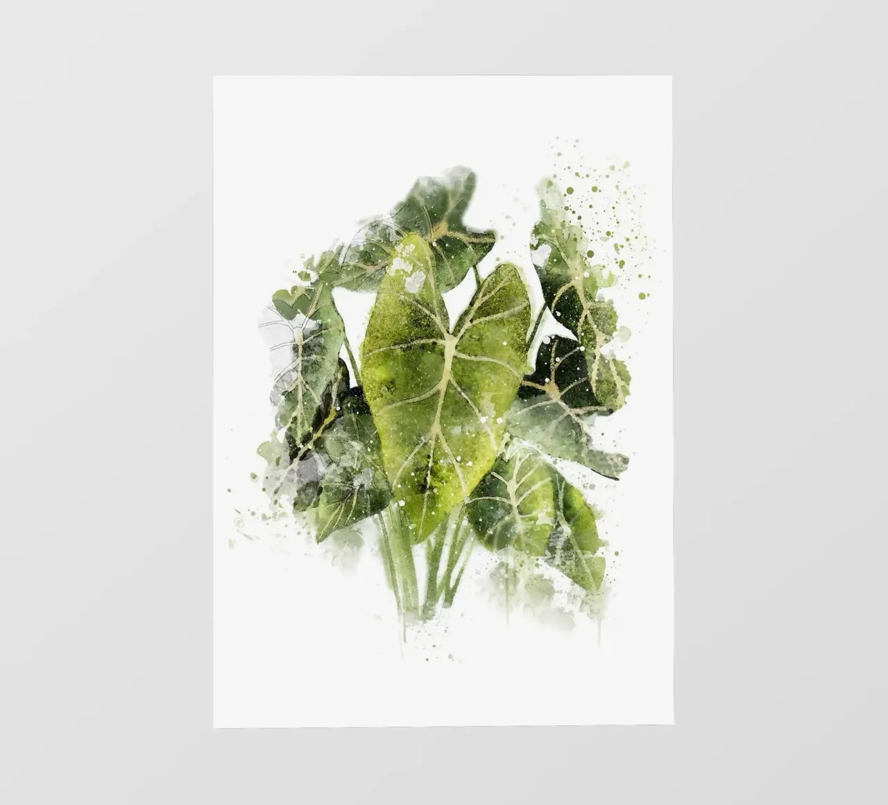 Pianta di filodendro pellicola backlit da Abstract Botanical Art