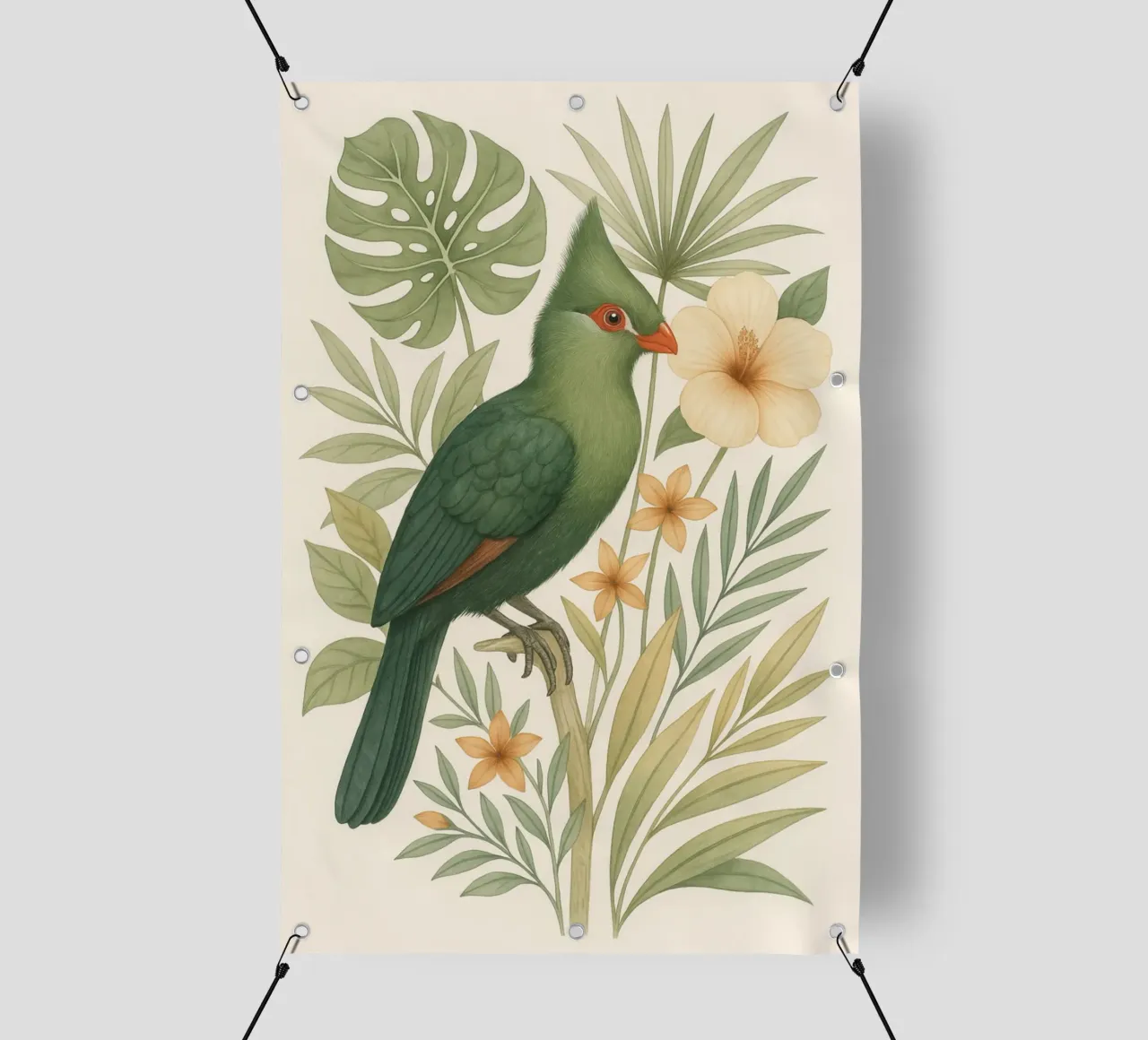 Tropical Turaco Bird PVC Plane von Studio M