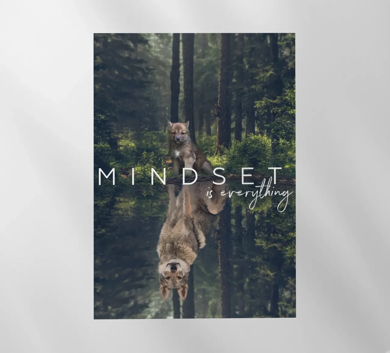 riflesso del lupo alberi della foresta pellicola backlit da James Isaac Jackson