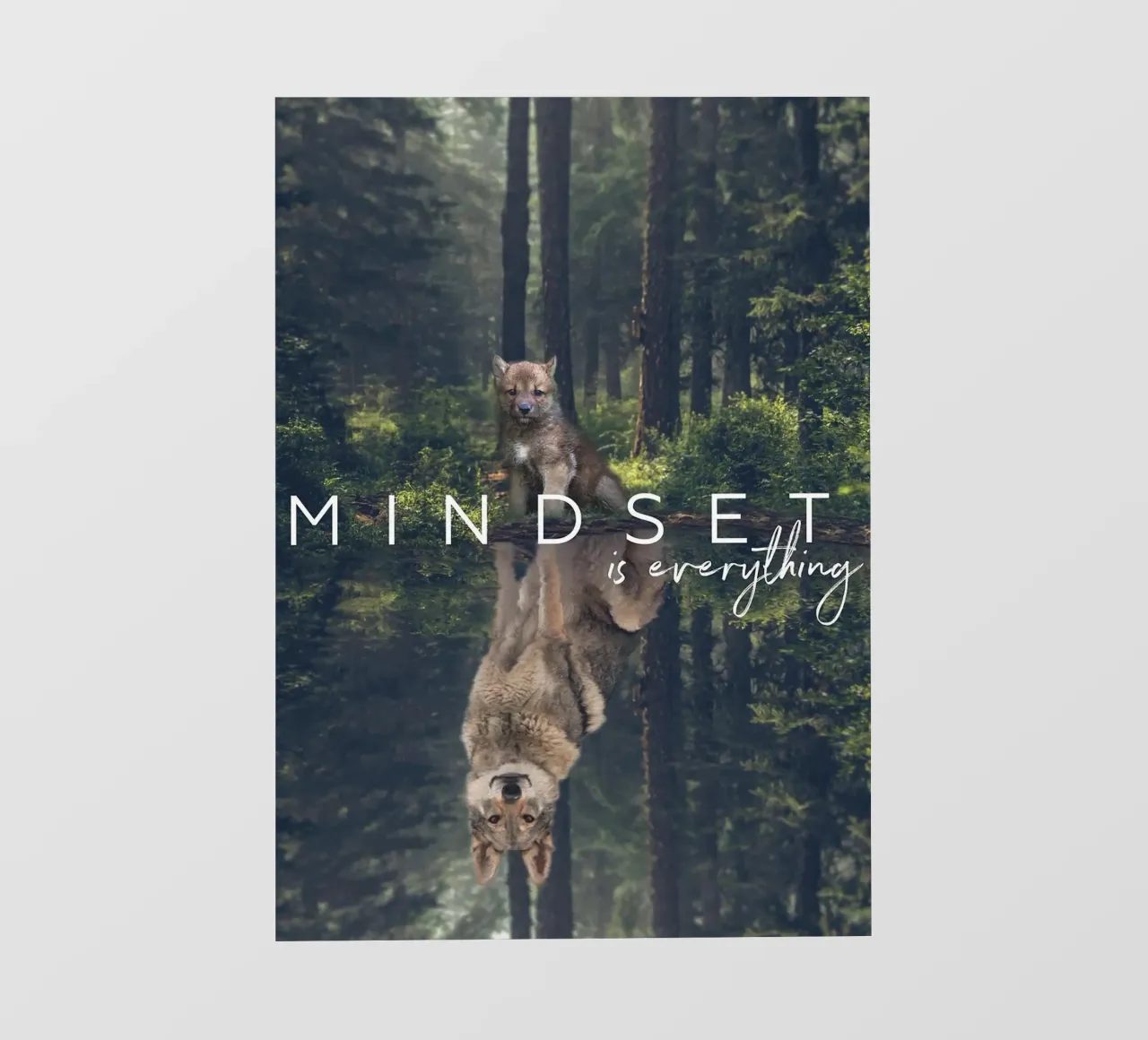 riflesso del lupo alberi della foresta pellicola backlit da James Isaac Jackson