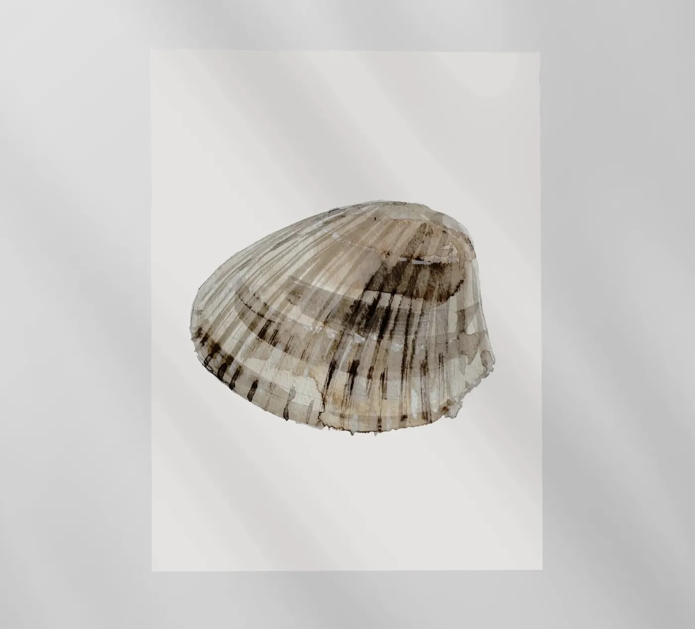 Sea Shell pellicola backlit da treechild
