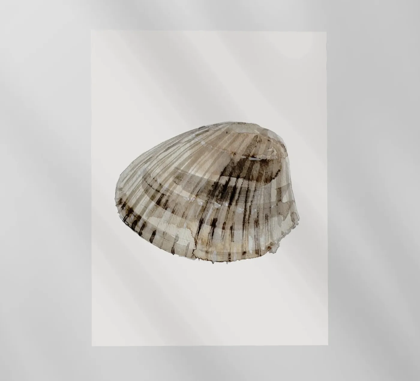 Sea Shell pellicola backlit da treechild