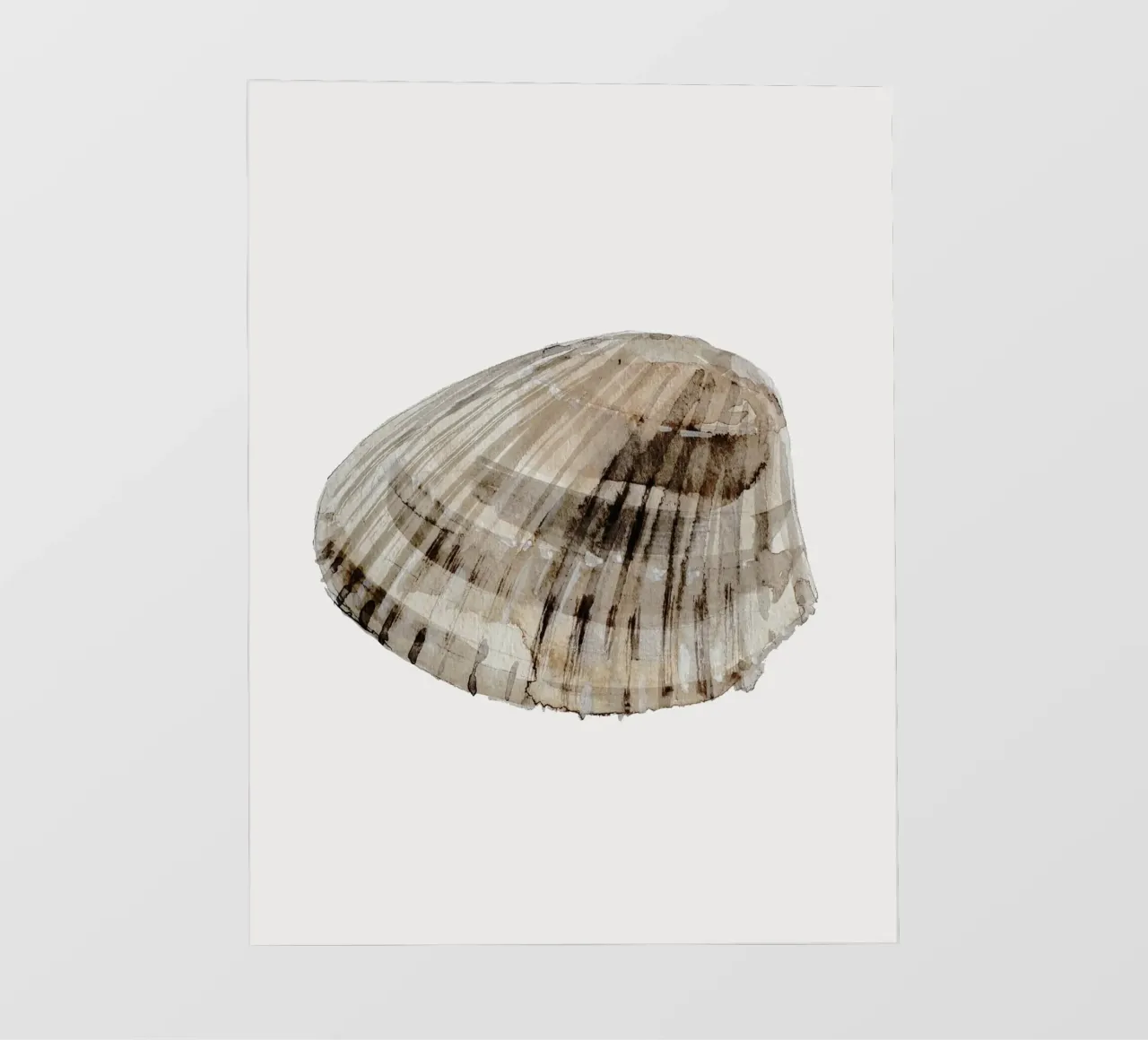 Sea Shell pellicola backlit da treechild