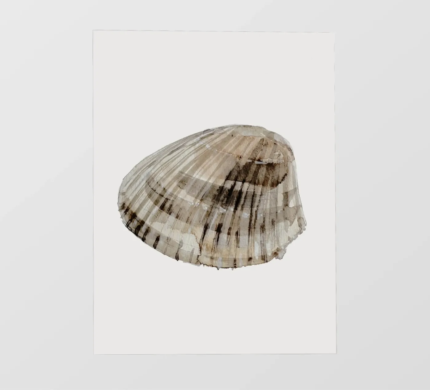 Sea Shell pellicola backlit da treechild