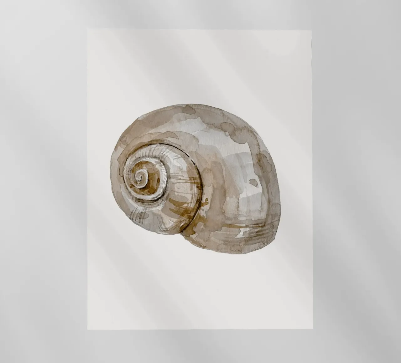 Snail Shell lámina retroiluminada de treechild