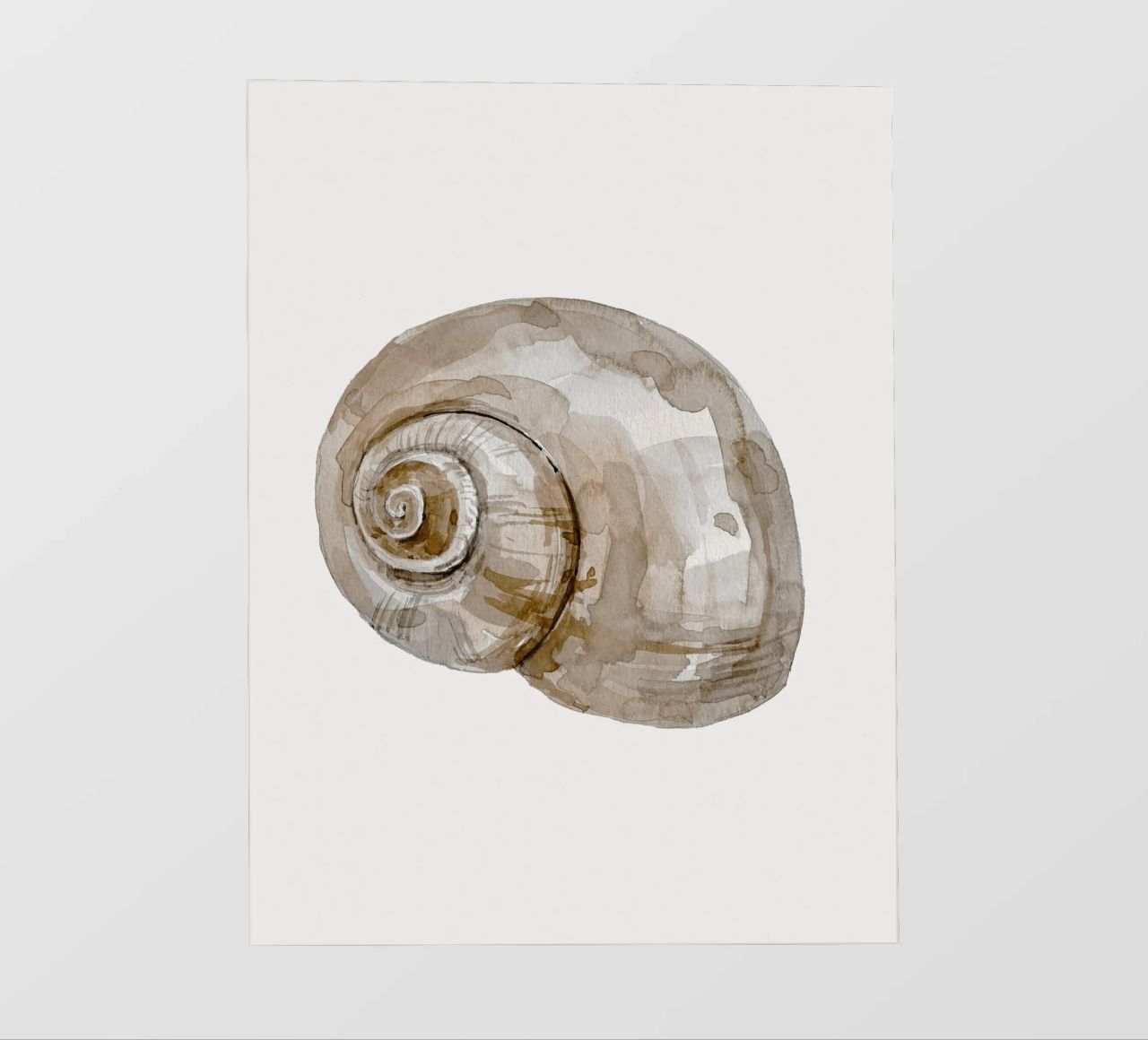 Snail Shell pellicola backlit da treechild
