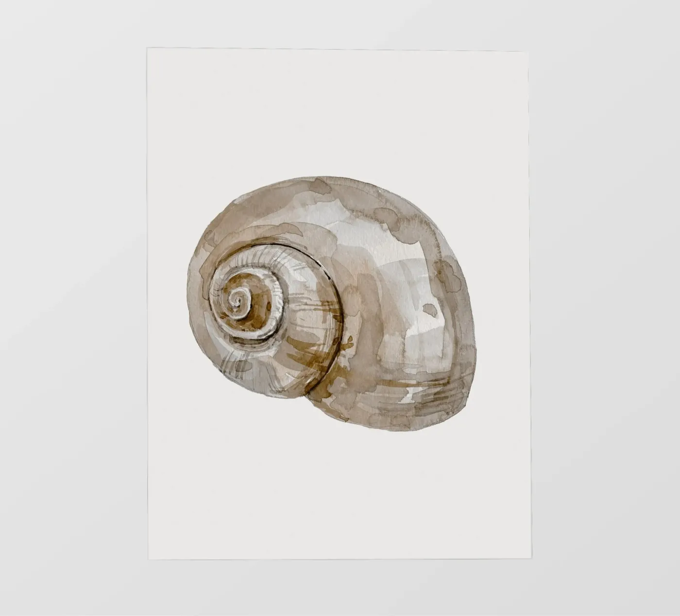 Snail Shell pellicola backlit da treechild
