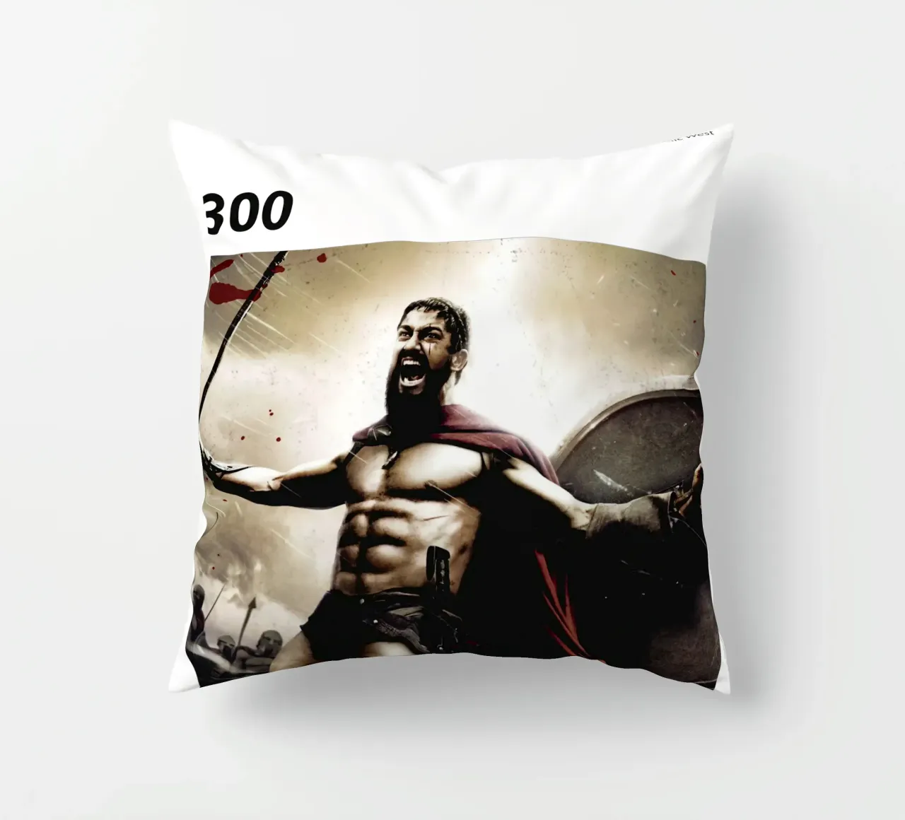 300 cuscino da 🎞 The Movie Wall