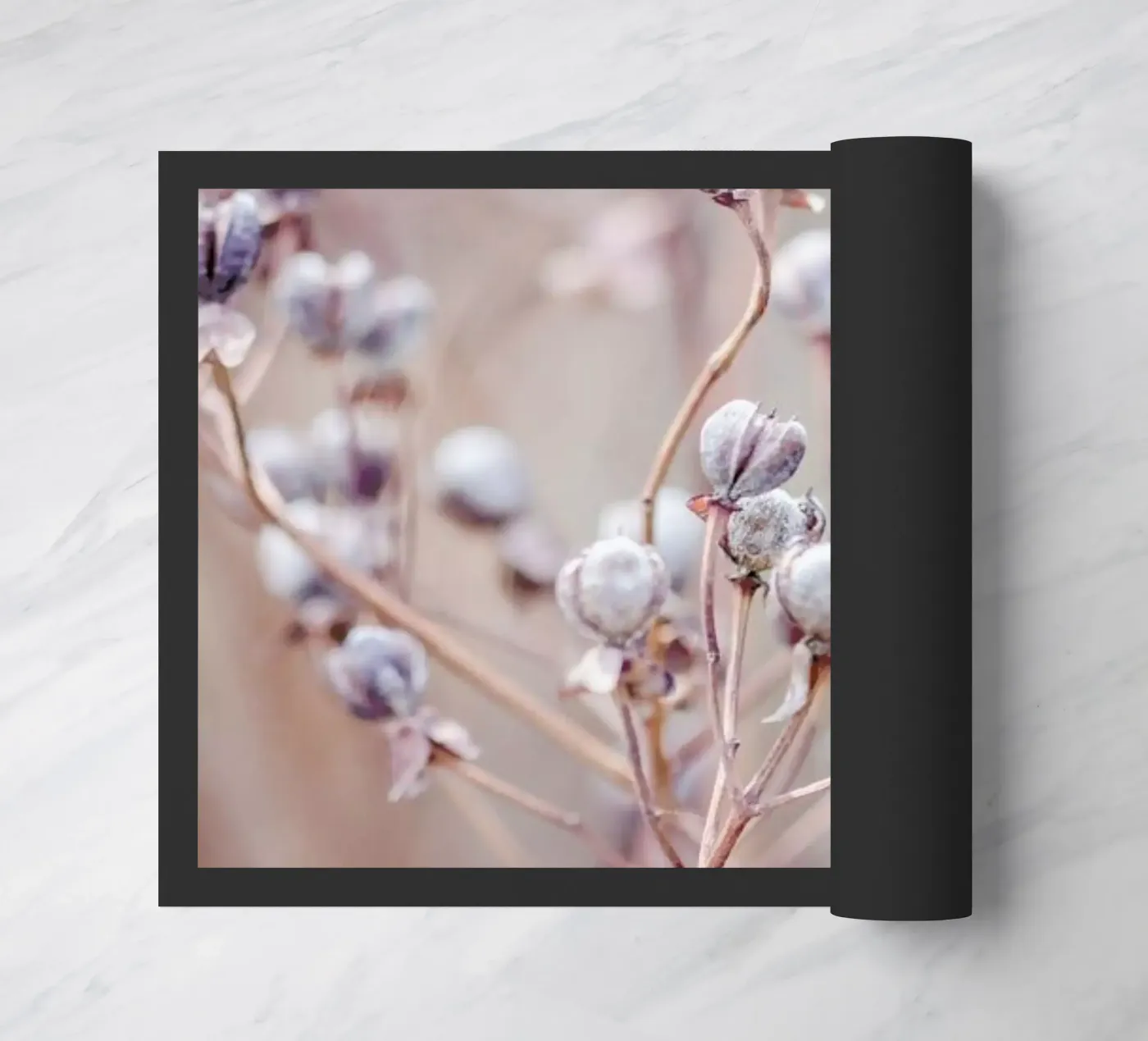 Cotton Buds zerbino da Flora & Fauna