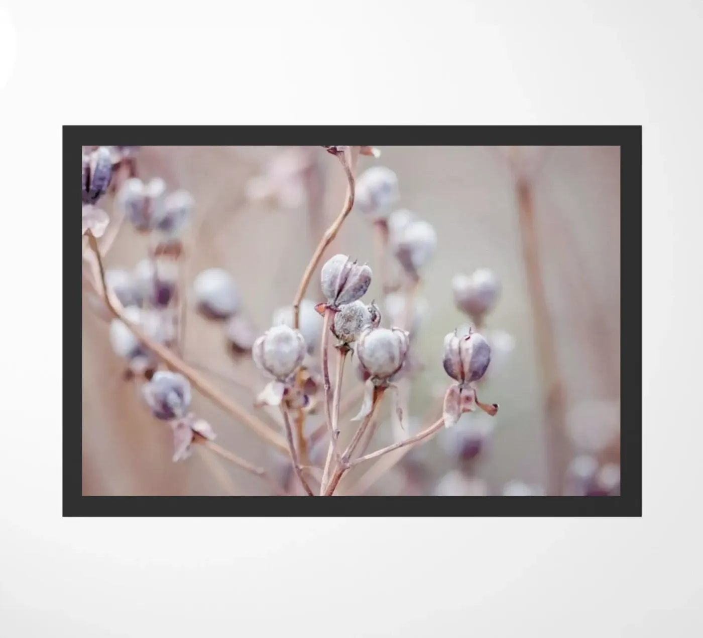 Cotton Buds zerbino da Flora & Fauna