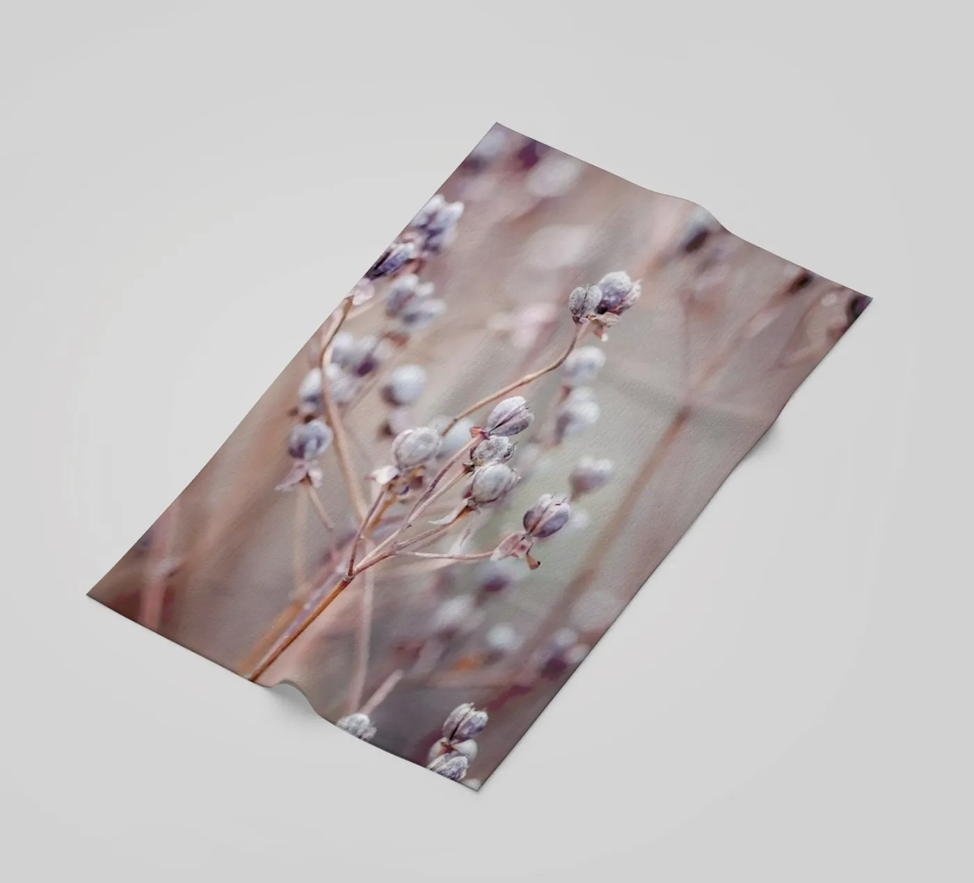 Cotton Buds telo mare da Flora & Fauna