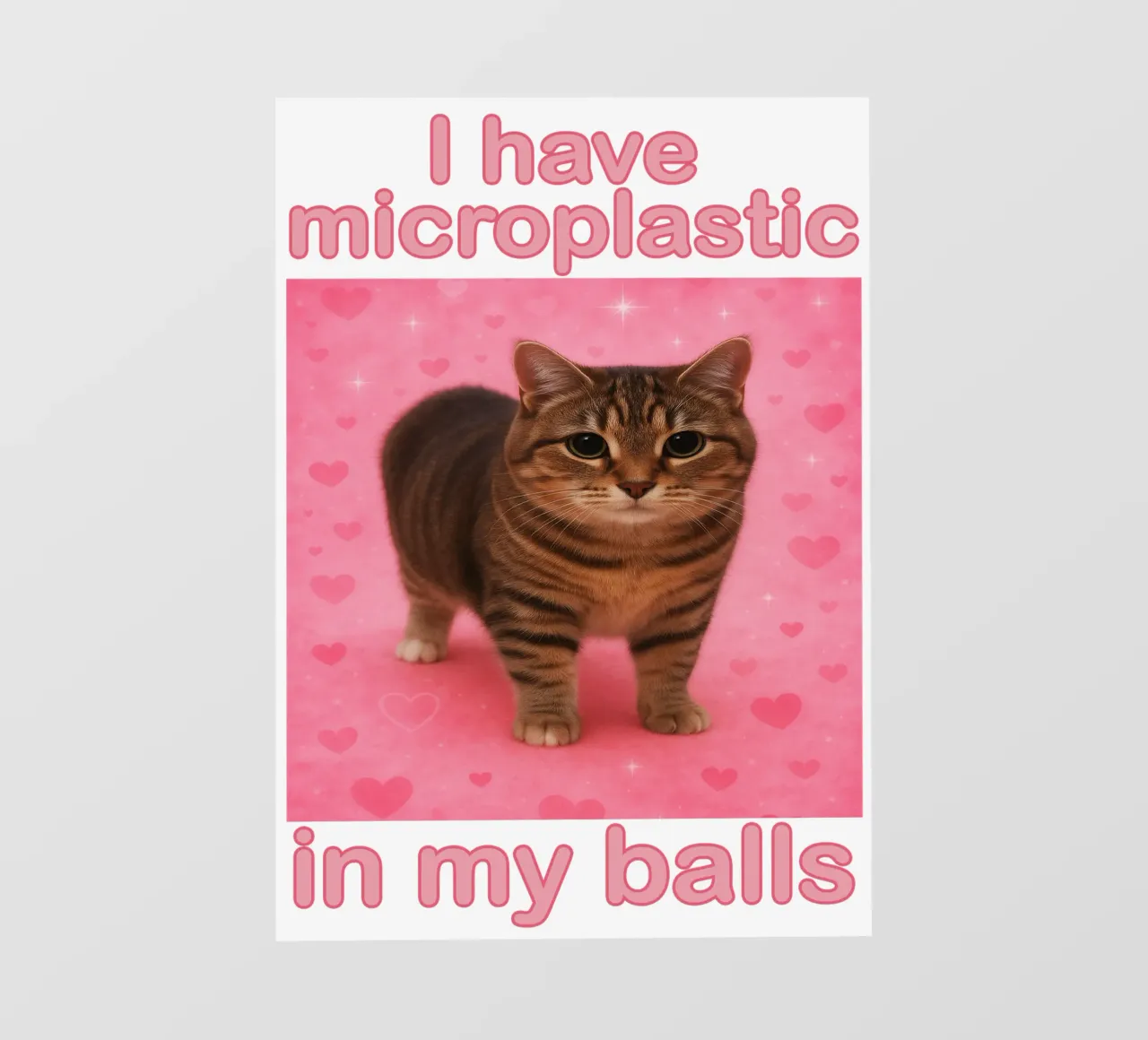 I Have Microplastics in my Balls Divertente disegno artistico di un gatto telo in pvc da the gondals
