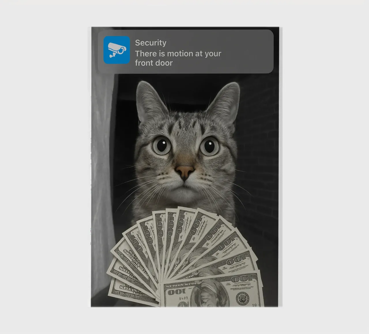 Gatto ad anello con design Motion art diario da the gondals