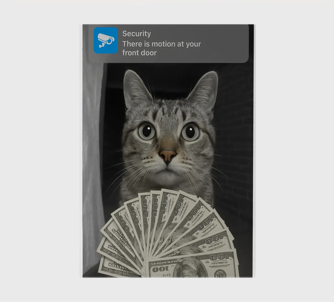 Gatto ad anello con design Motion art diario da the gondals