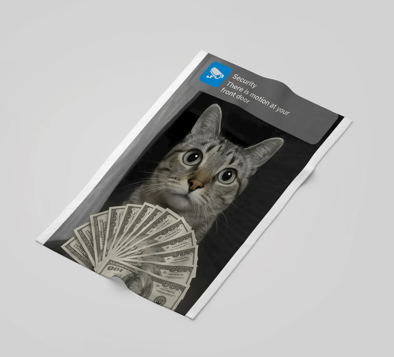 Gatto ad anello con design Motion art telo mare da the gondals
