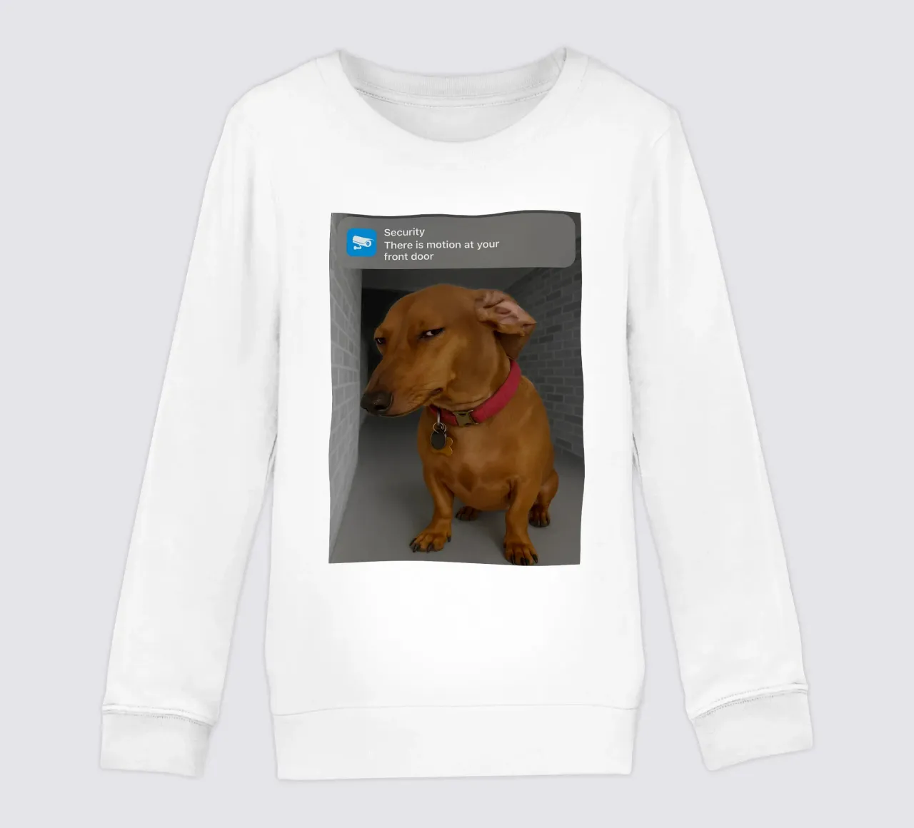 Ring Dog with Motion Funny Art Design kids sweatshirt by the gondals