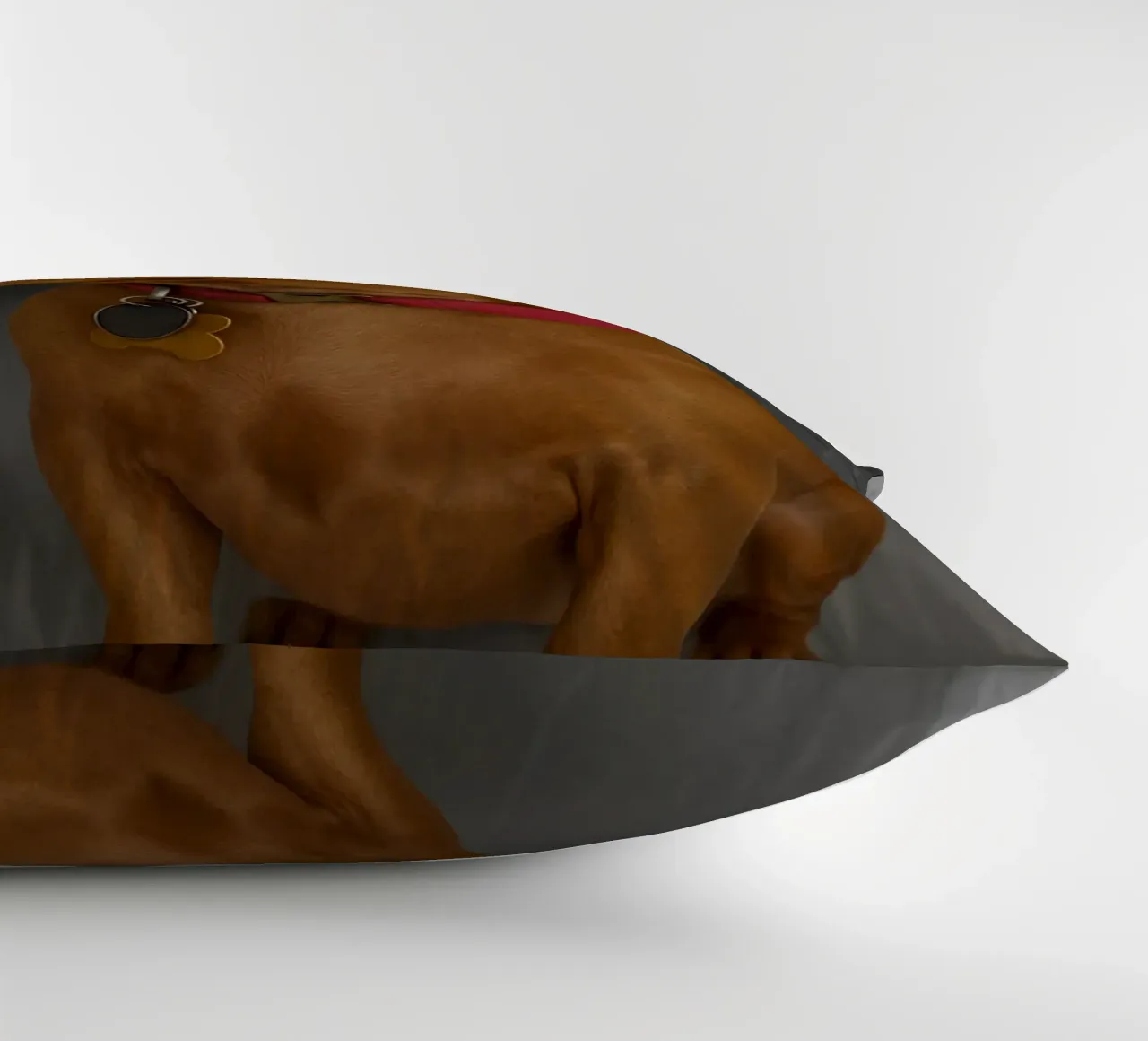Cane ad anello con movimento Funny Art Design cuscino da the gondals