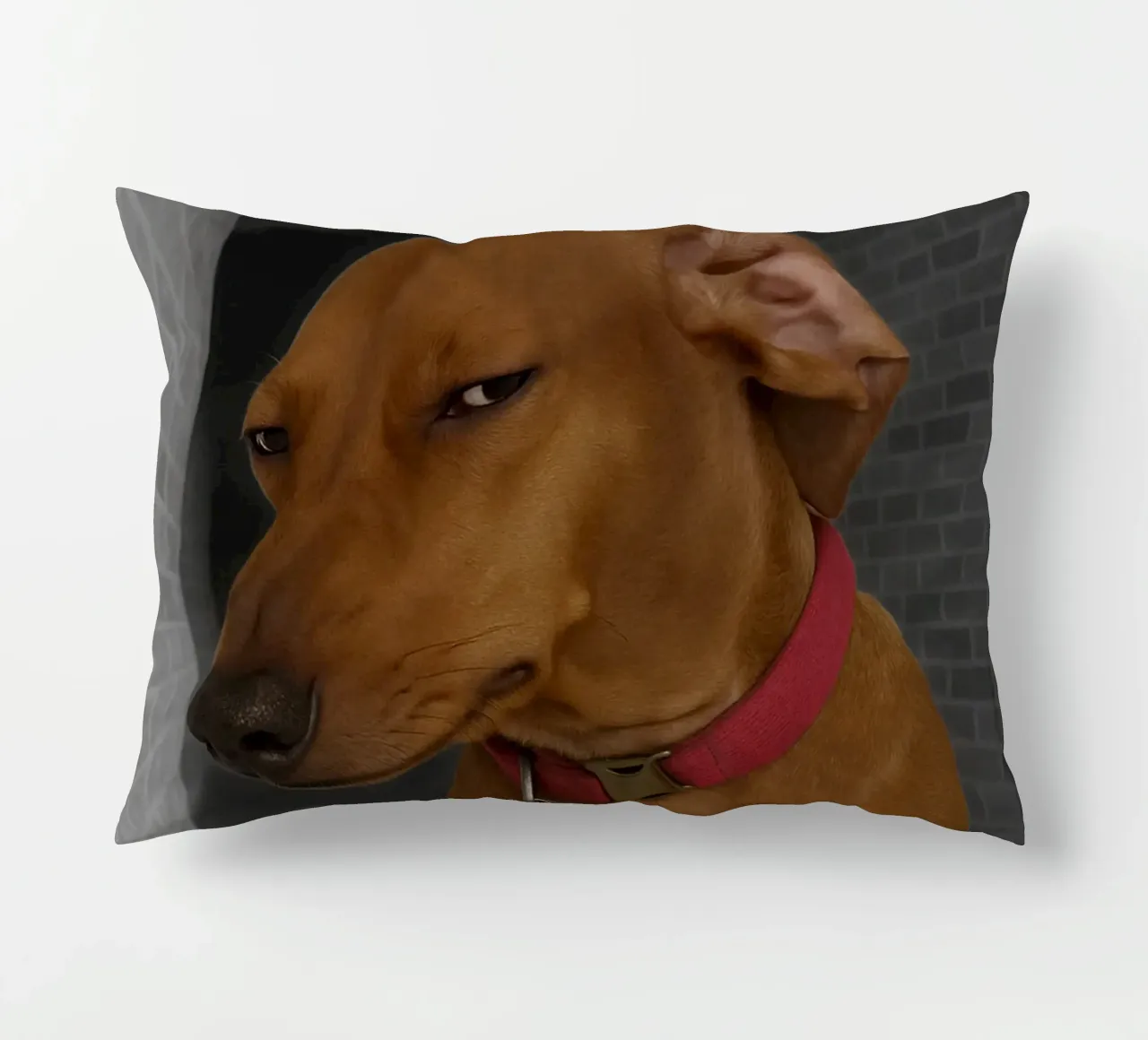 Cane ad anello con movimento Funny Art Design cuscino da the gondals