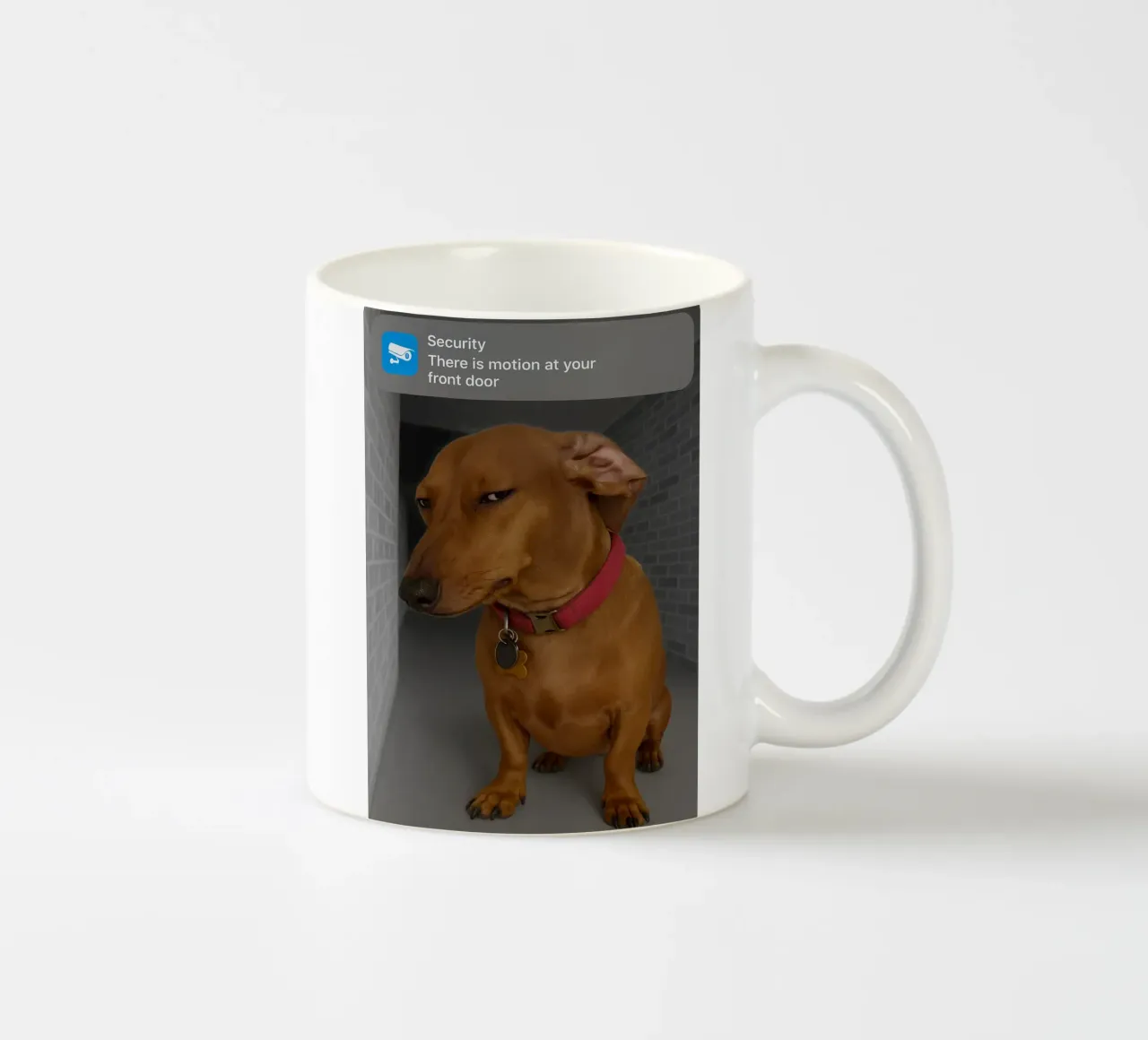 Cane ad anello con movimento Funny Art Design tazza in ceramica da the gondals
