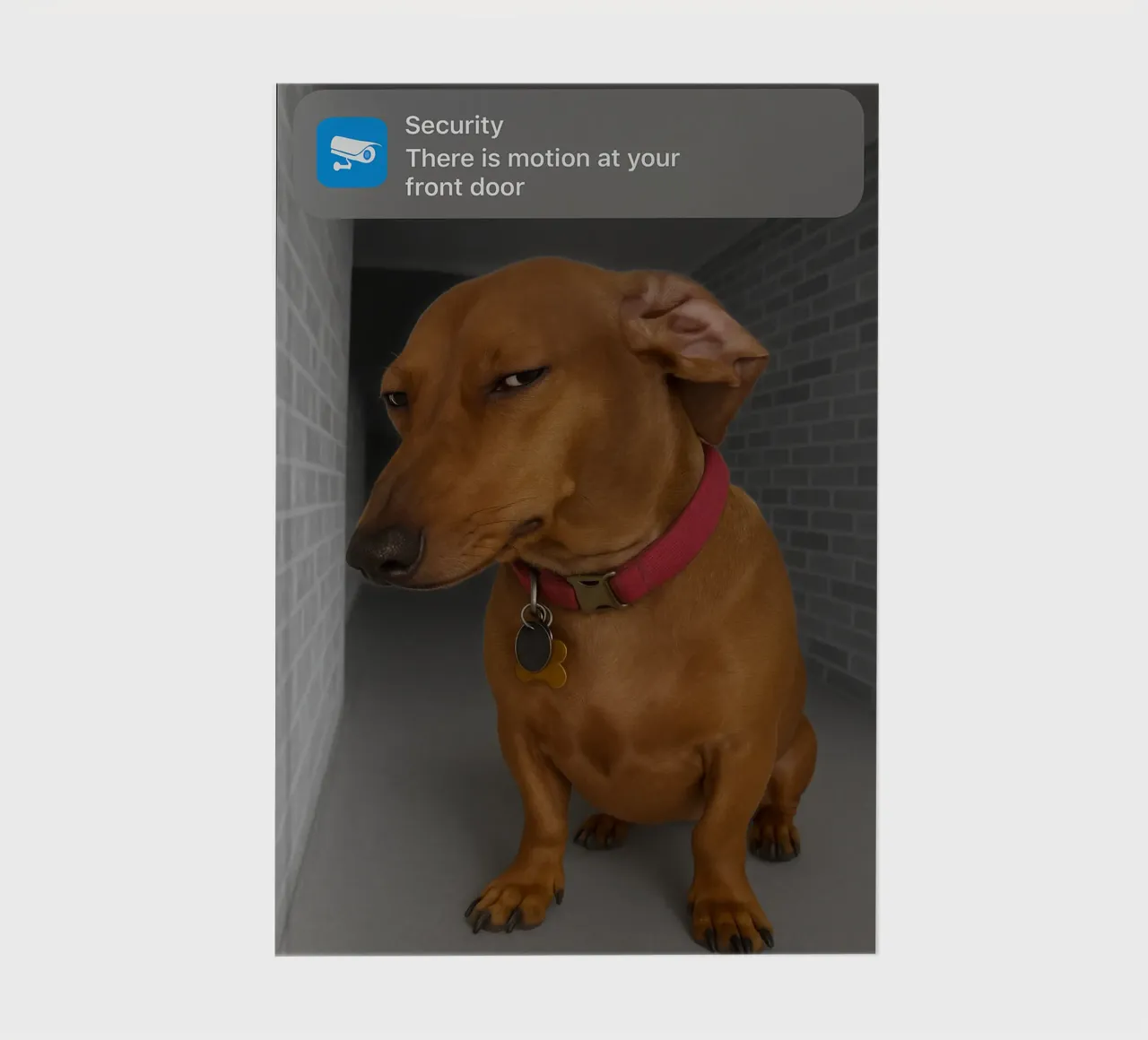 Ring Dog with Motion Funny Art Design notebook by the gondals