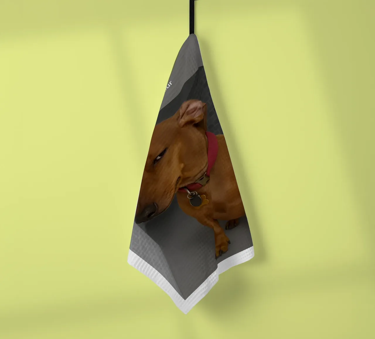 Ring Dog with Motion Funny Art Design torchon de the gondals