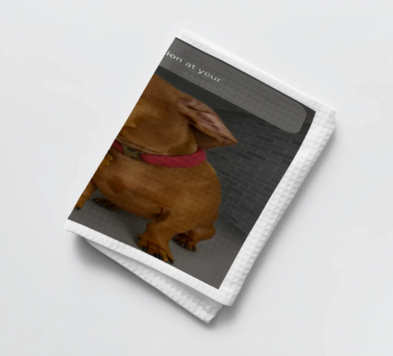 Ring Dog with Motion Funny Art Design torchon de the gondals