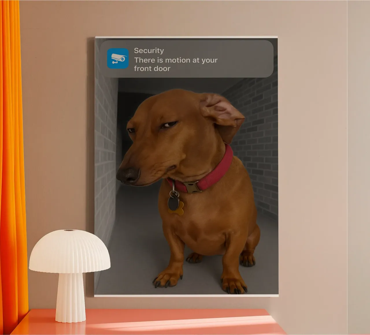Ring Hond met Motie Grappig Kunstontwerp canvas met Baklijst van the gondals