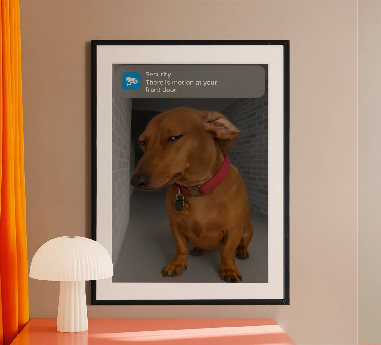 Ring Dog with Motion Funny Art Design hahnemühle by the gondals