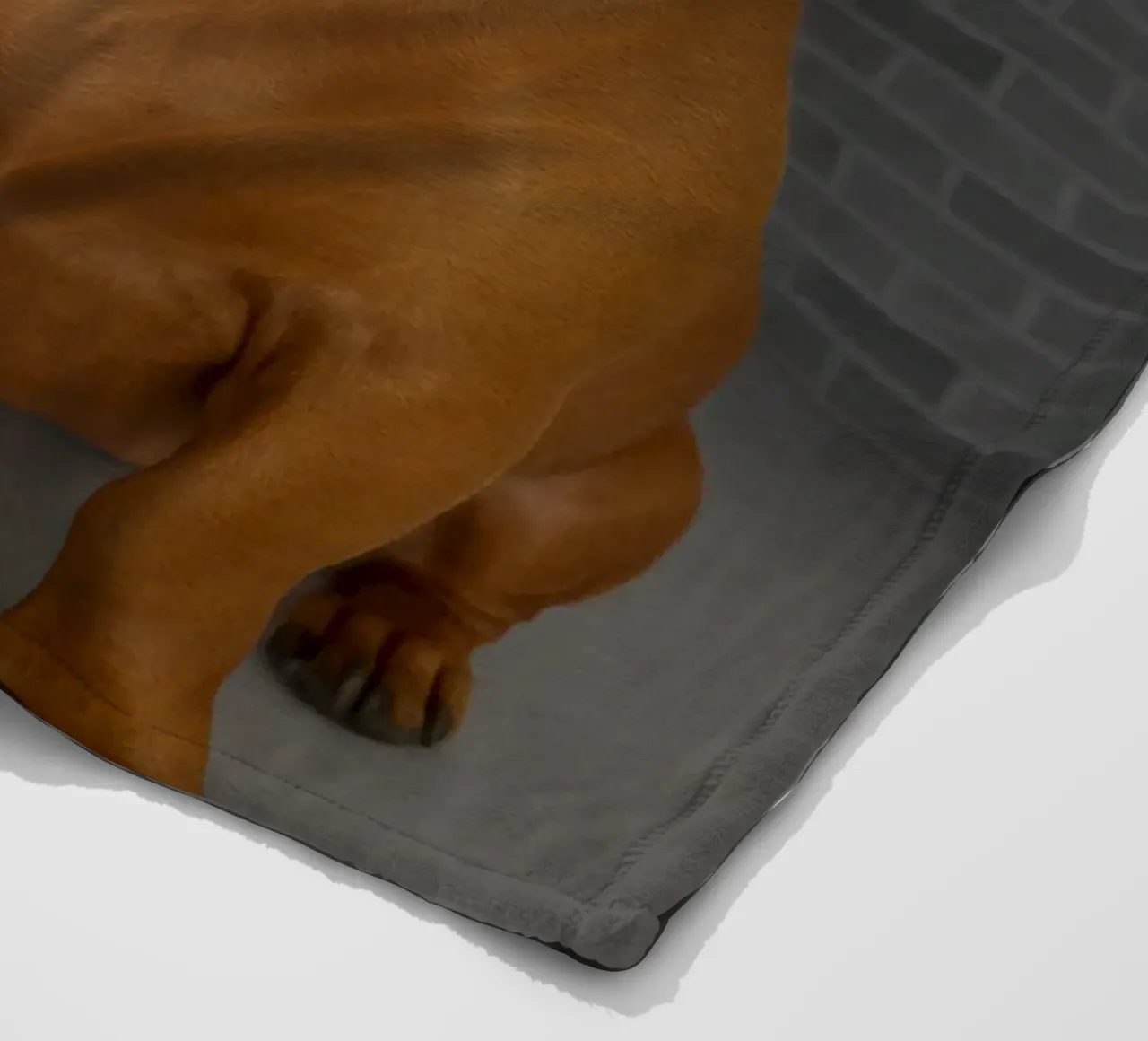 Ring Dog with Motion Funny Art Design fleece blanket by the gondals