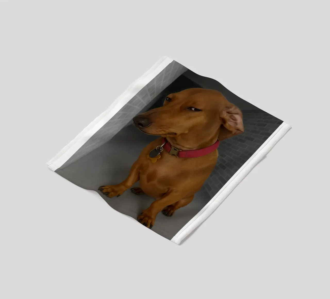 Ring Dog with Motion Funny Art Design fleece blanket by the gondals
