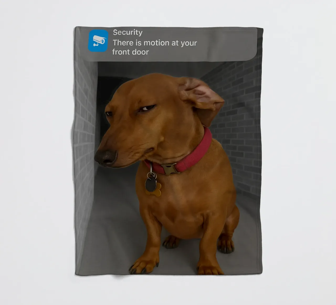 Ring Dog with Motion Funny Art Design fleece blanket by the gondals