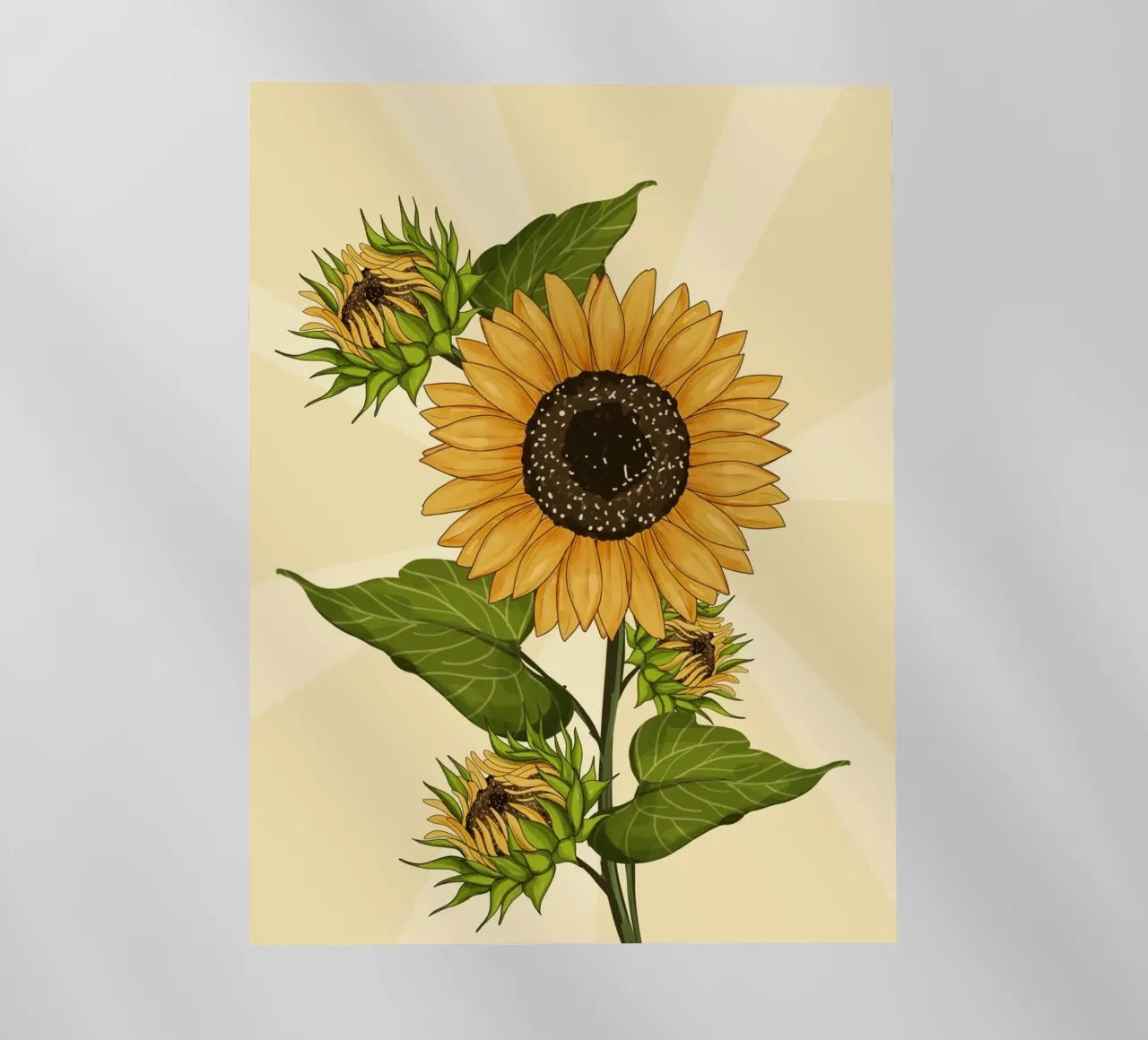 Campo di girasoli in fiore vintage pellicola backlit da Mitalim Designs