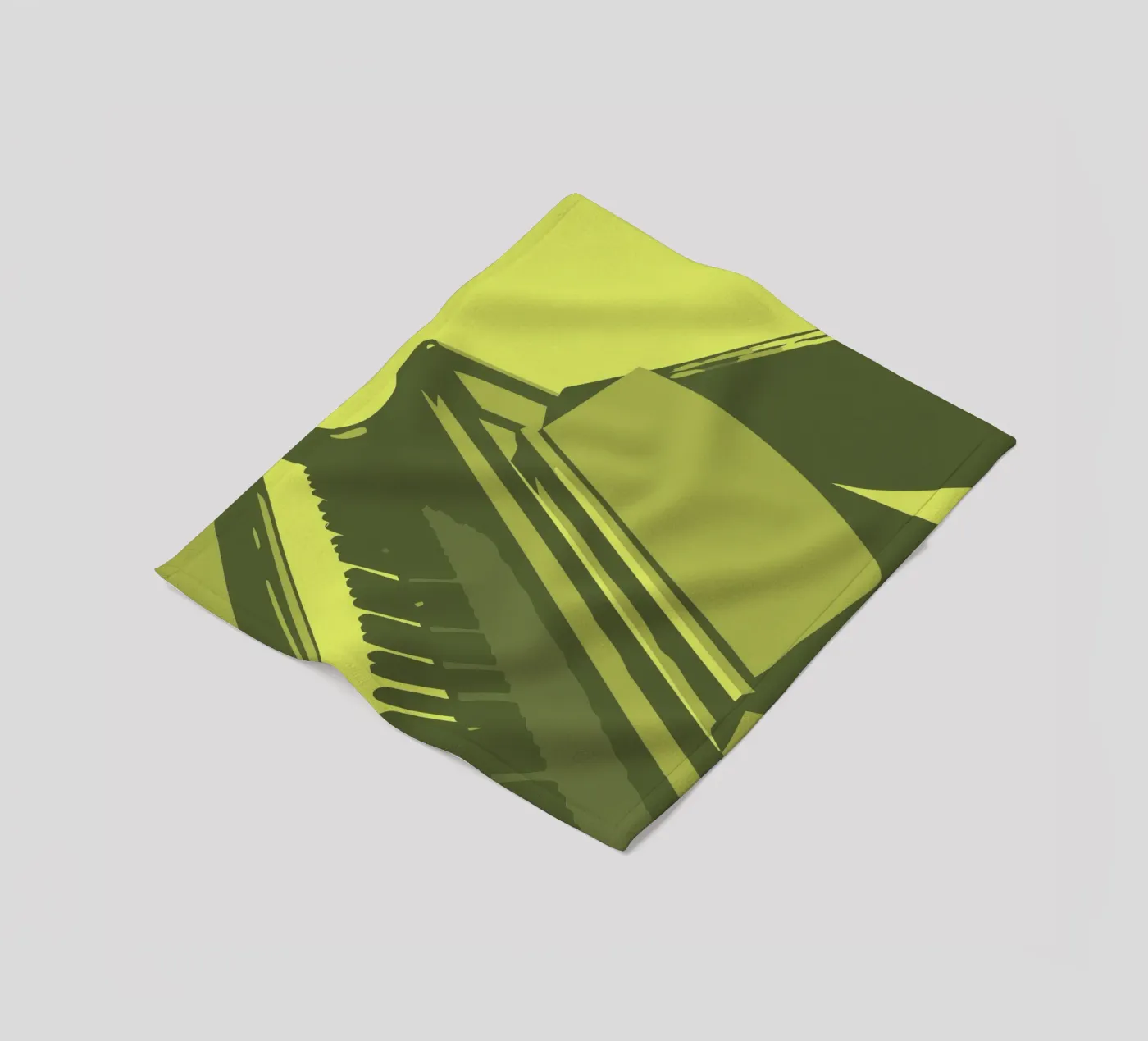 Plan plaid polaire de MUSIC EDITION