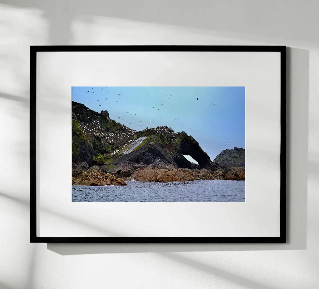 FAA307. Sept Iles Bretagne. poster con telaio in plastica da Thierry vobmann photography