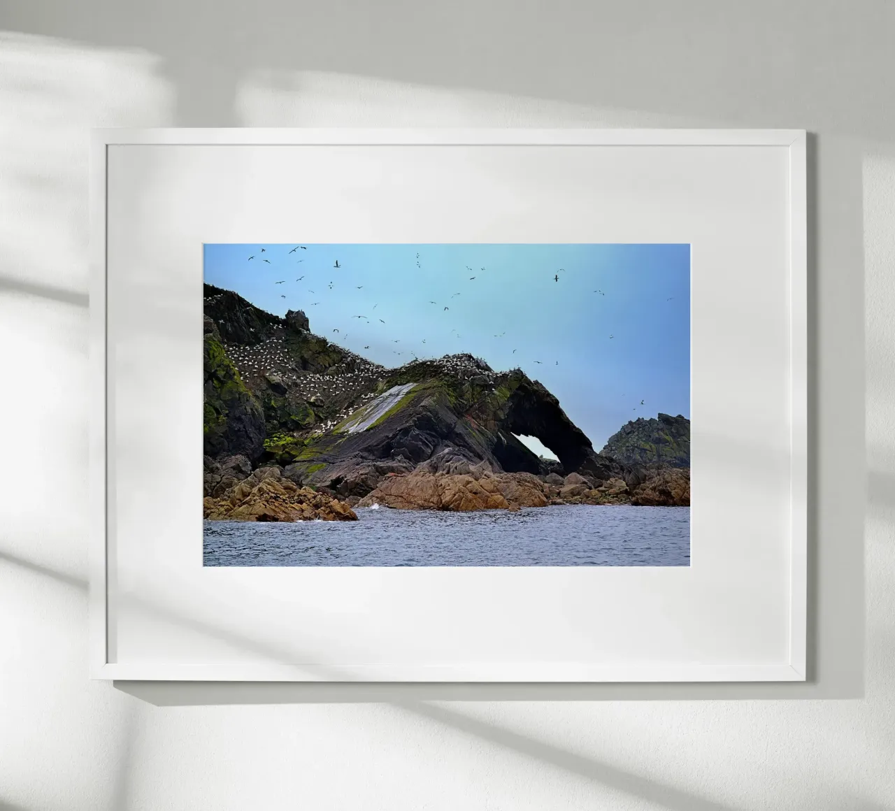 FAA307. Sept Iles Bretagne. poster con telaio in plastica da Thierry vobmann photography