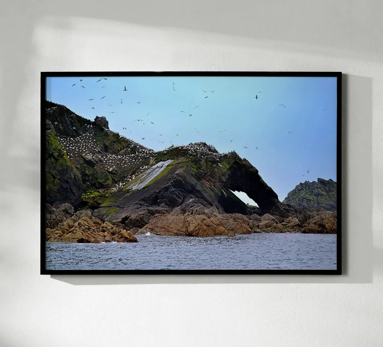 FAA307. Sept Iles Bretagne. poster con telaio in plastica da Thierry vobmann photography
