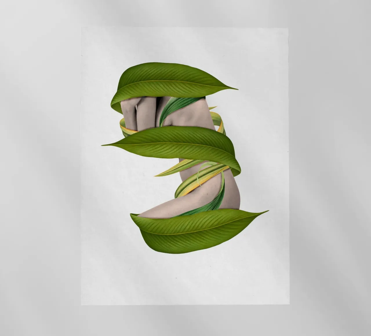 Entangled pellicola backlit da Sammy Slabbinck