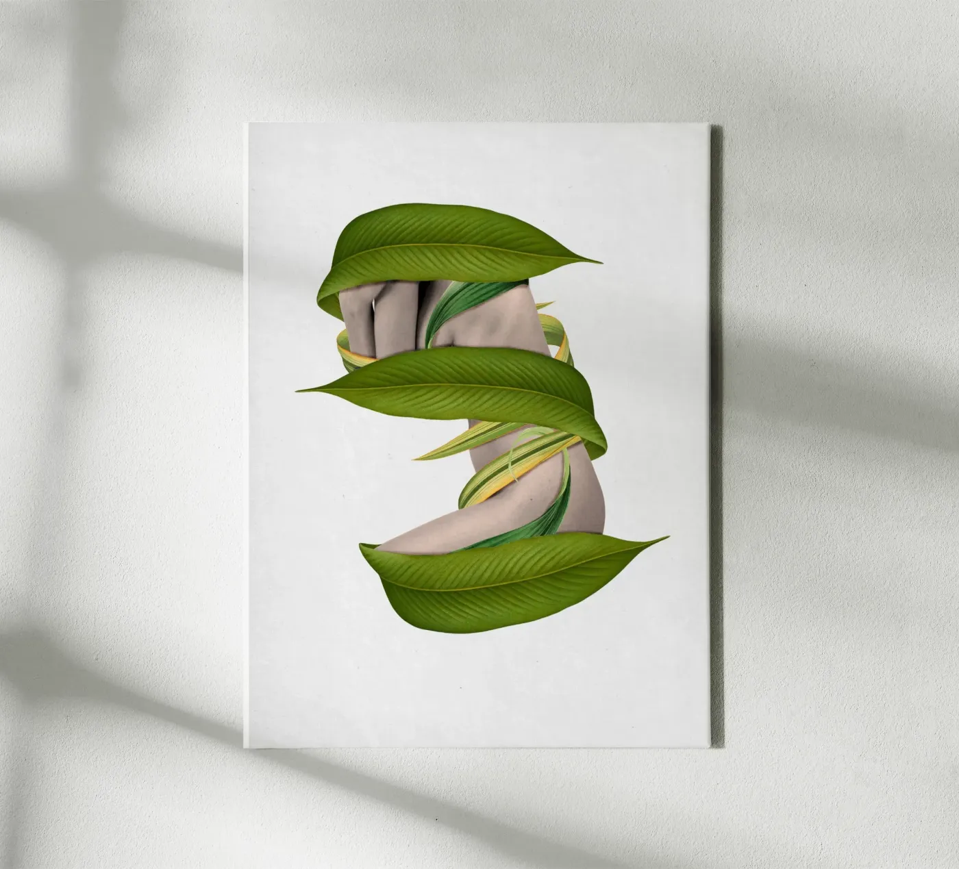 Entangled tela da Sammy Slabbinck