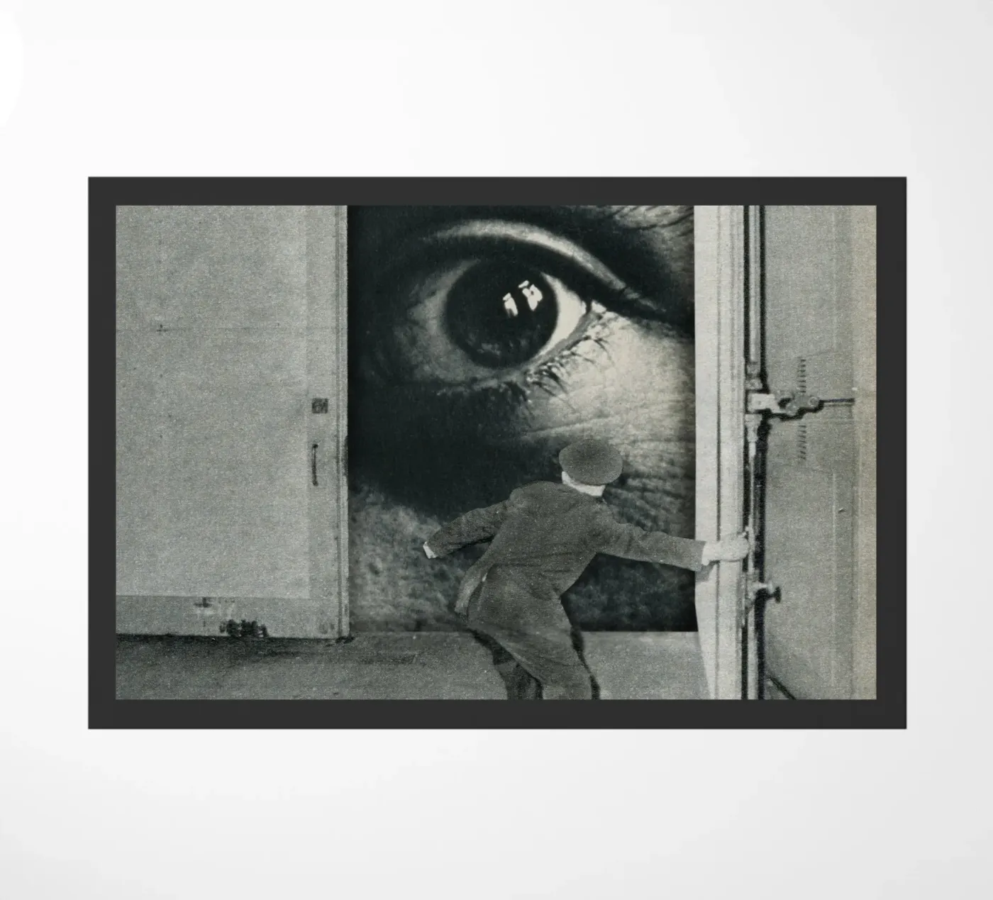 Intruder zerbino da Sammy Slabbinck