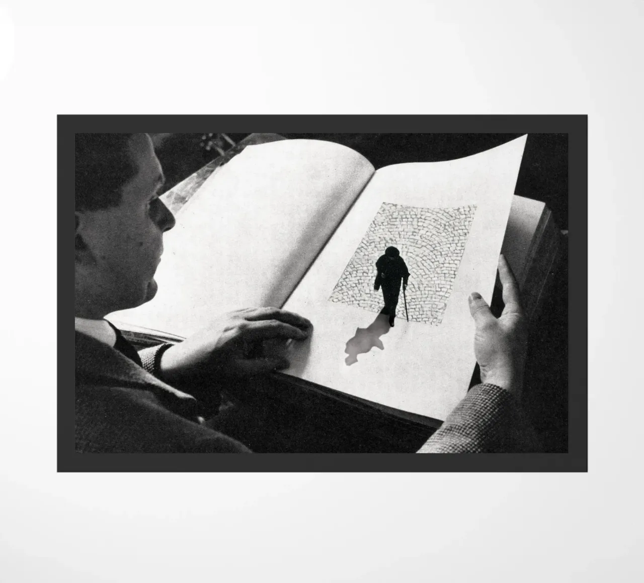 Stepping out zerbino da Sammy Slabbinck