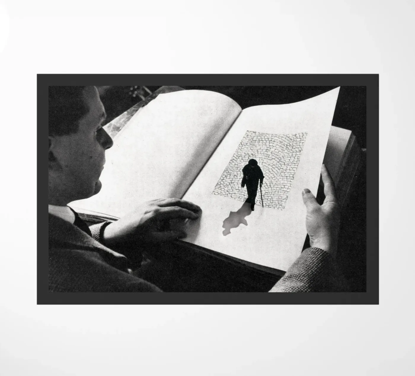 Stepping out zerbino da Sammy Slabbinck